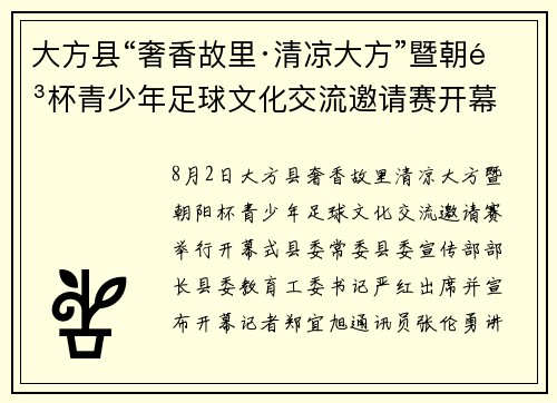 大方县“奢香故里·清凉大方”暨朝阳杯青少年足球文化交流邀请赛开幕